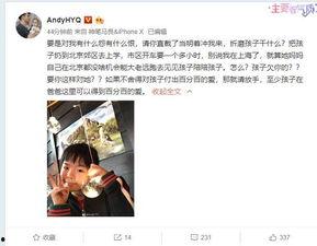 魏龙前妻爆料视频播放,揭秘婚姻背后的真相